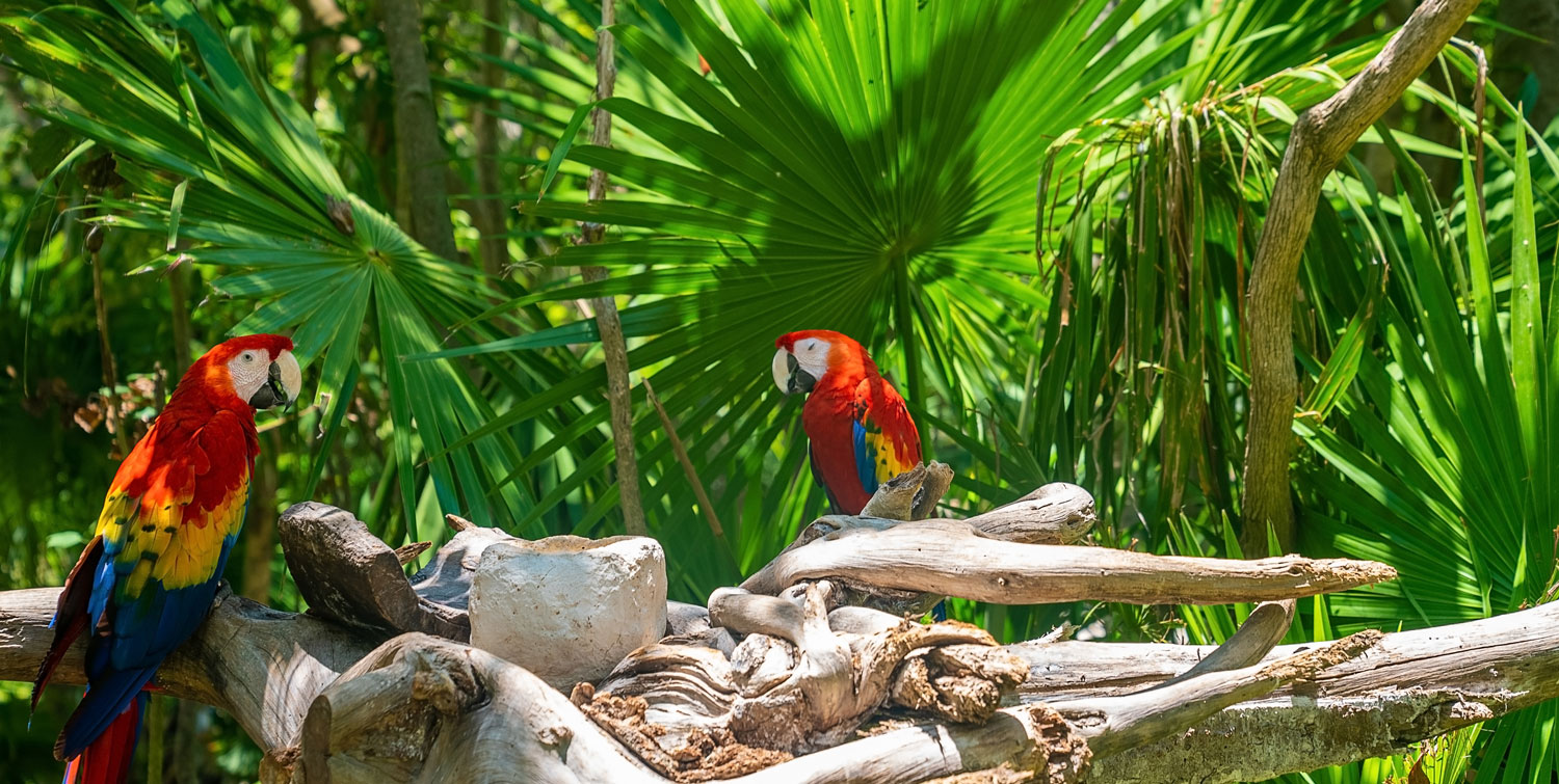 can i use pcie 3.0 in 4.0 slot