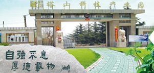 como baixar mcpe win 10 beta